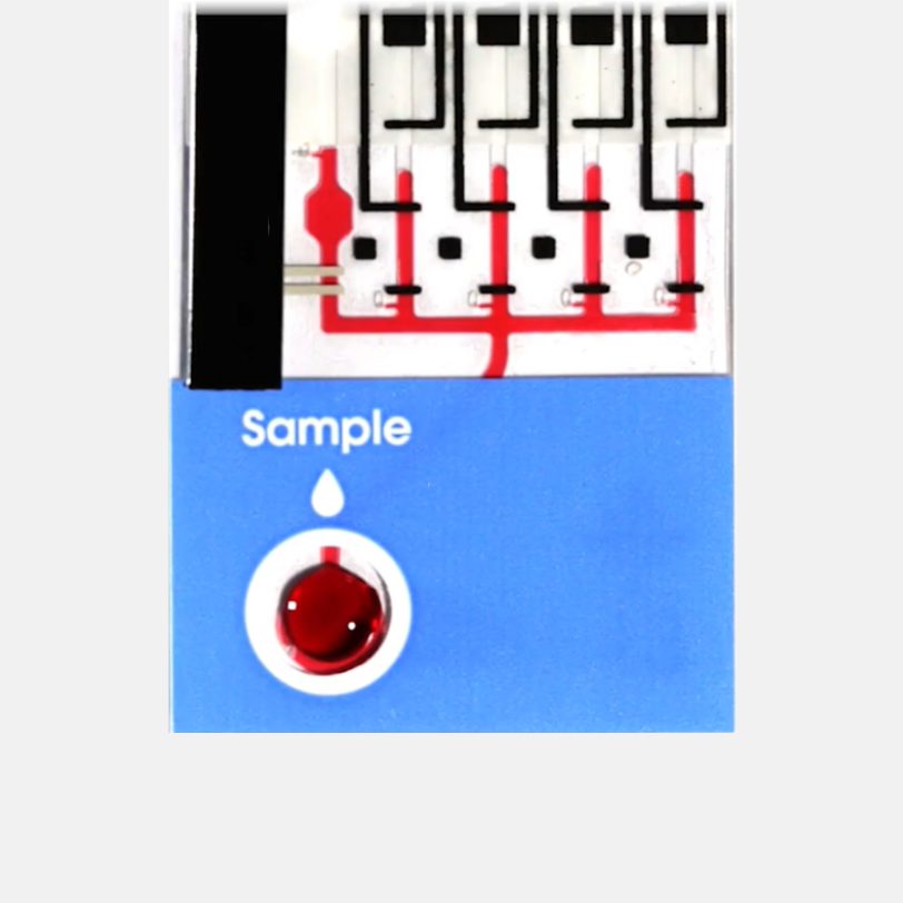 consumable strip showing microfluidic channels